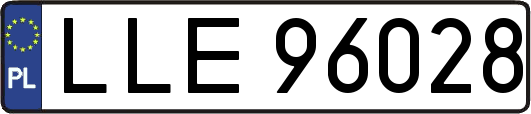 LLE96028