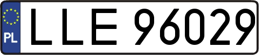 LLE96029