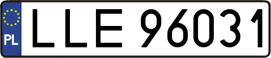 LLE96031