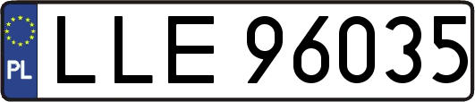 LLE96035