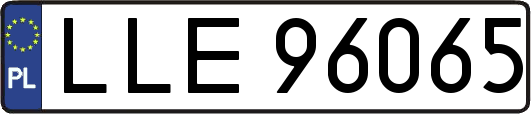 LLE96065