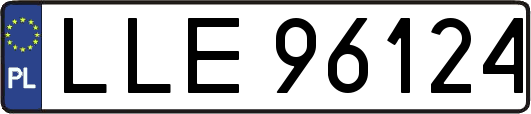 LLE96124