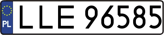 LLE96585