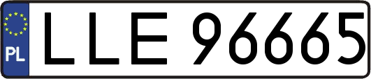 LLE96665