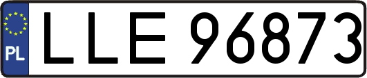 LLE96873