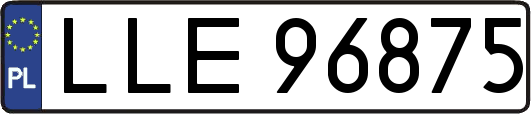 LLE96875