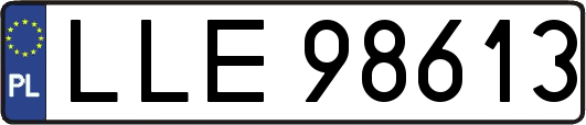 LLE98613