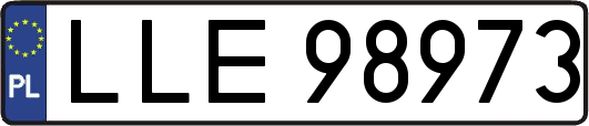 LLE98973