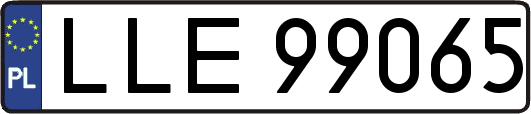 LLE99065
