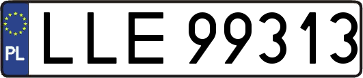 LLE99313
