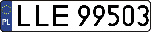 LLE99503