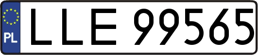 LLE99565