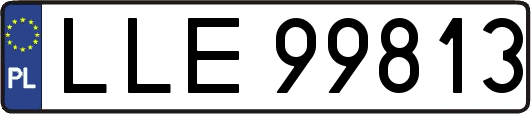 LLE99813