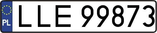 LLE99873