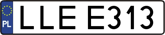 LLEE313