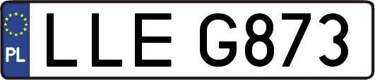 LLEG873