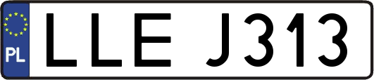 LLEJ313