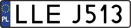 LLEJ513