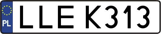 LLEK313