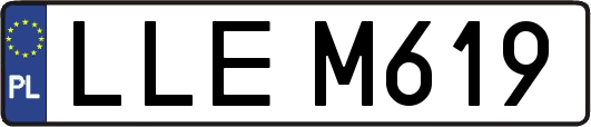 LLEM619