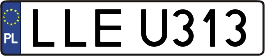 LLEU313