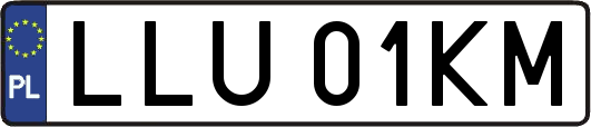 LLU01KM