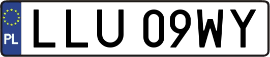 LLU09WY