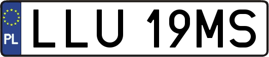 LLU19MS