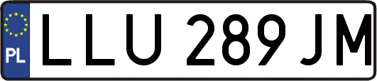 LLU289JM