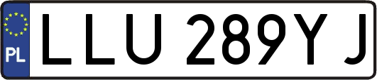 LLU289YJ