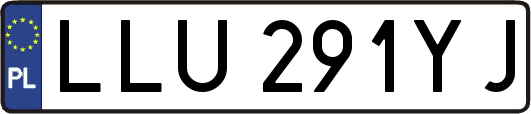 LLU291YJ
