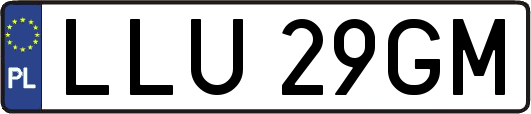 LLU29GM