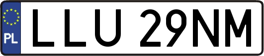 LLU29NM