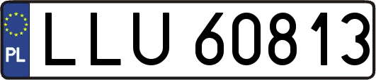 LLU60813