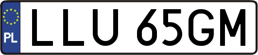 LLU65GM