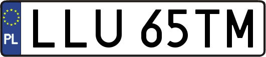 LLU65TM