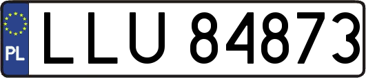 LLU84873