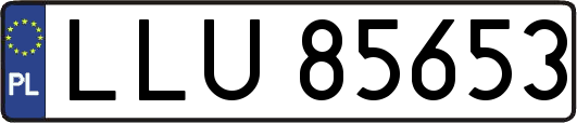 LLU85653