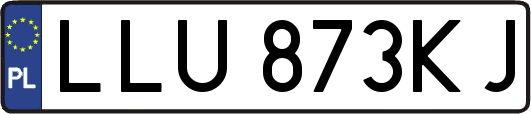 LLU873KJ