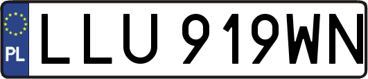 LLU919WN