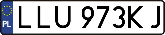 LLU973KJ