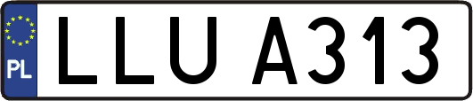 LLUA313