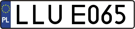 LLUE065