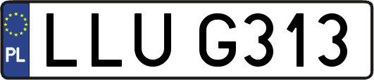 LLUG313