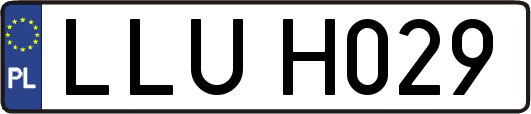 LLUH029