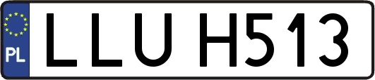 LLUH513