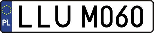 LLUM060