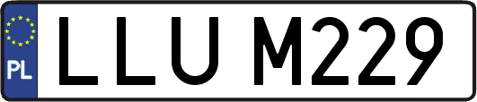 LLUM229