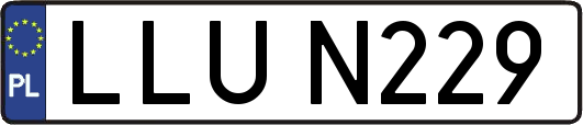 LLUN229