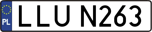 LLUN263